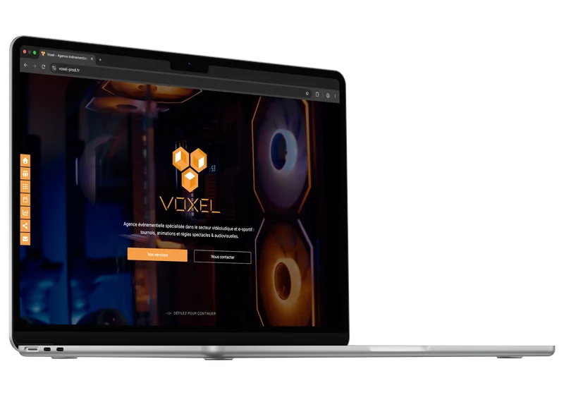 Voxel